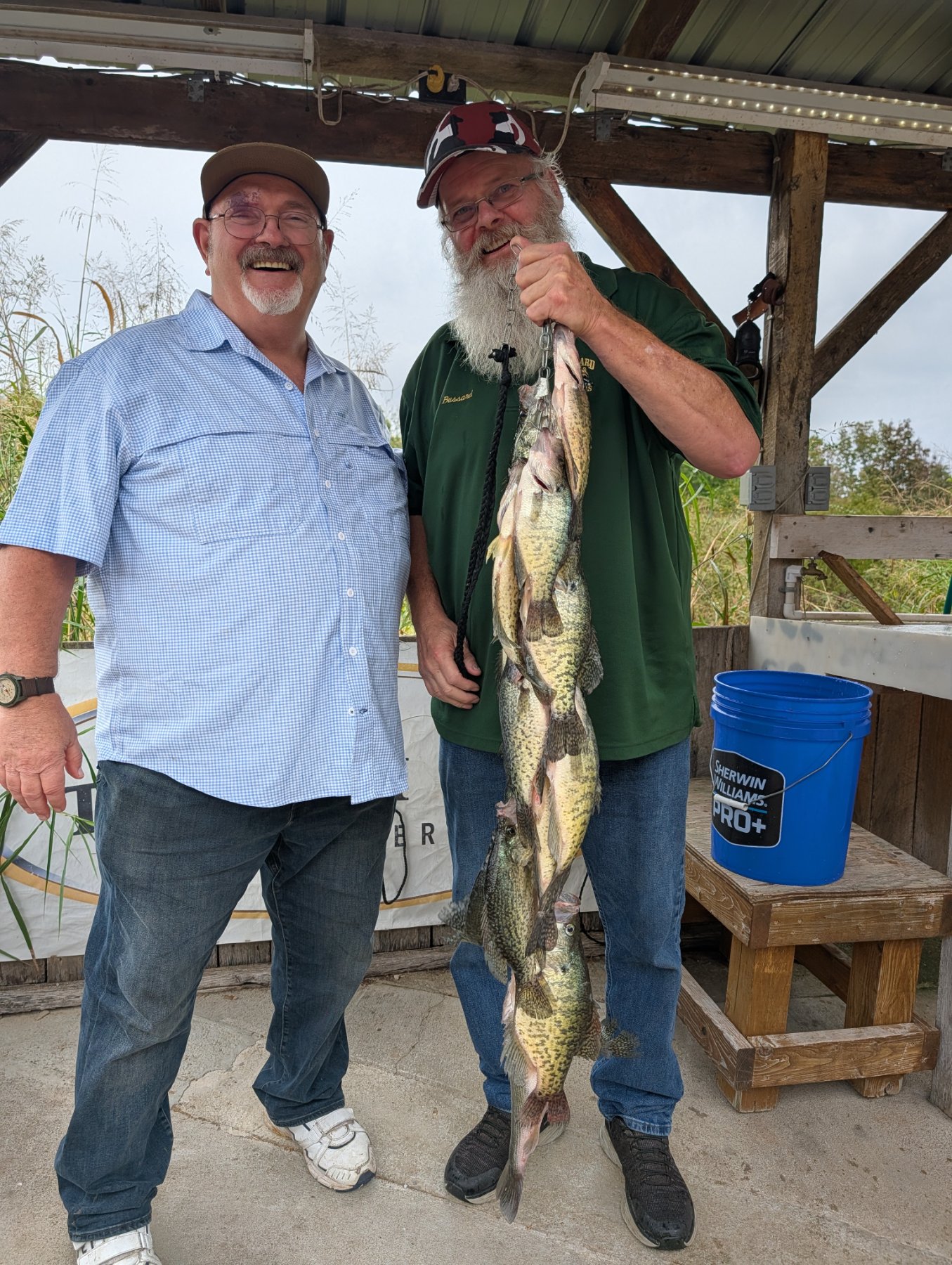 Aggressive Jig Bite on Brush Piles With Overcast Skies