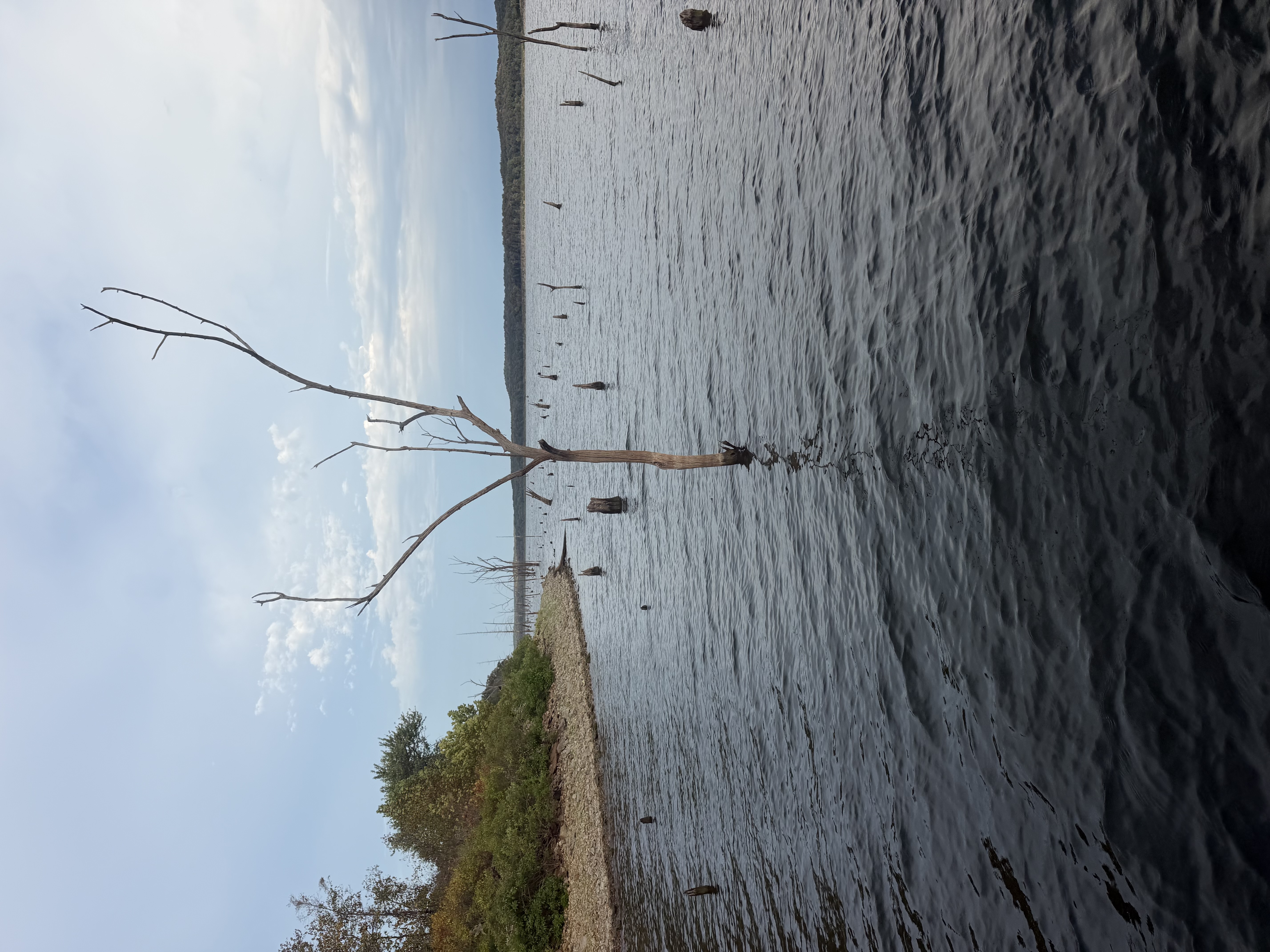 Magnum Trickworm Bite on Main Lake Points Osage Arm