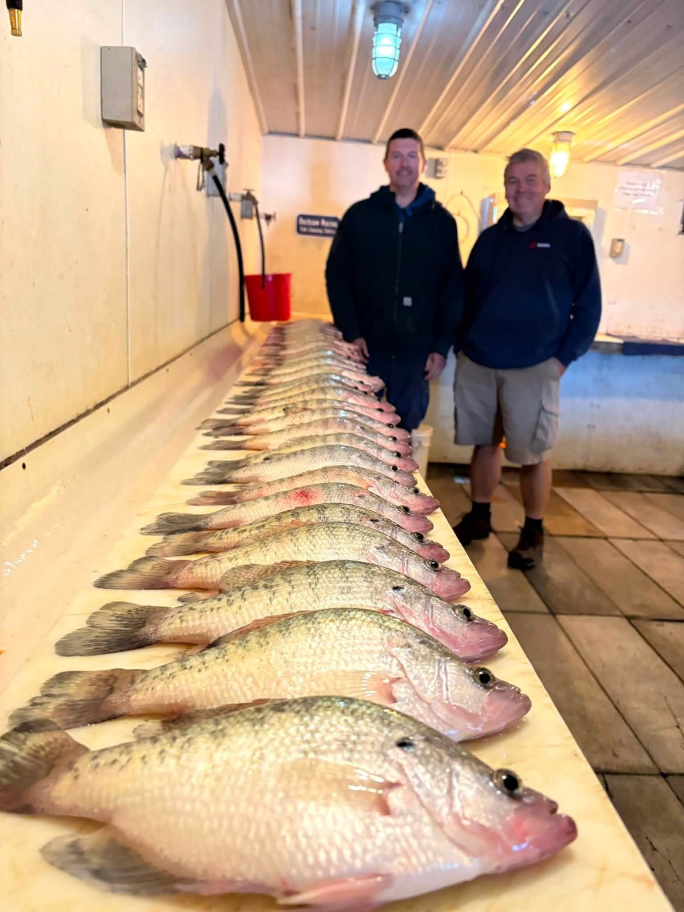 A Good Crappie Bite on Truman