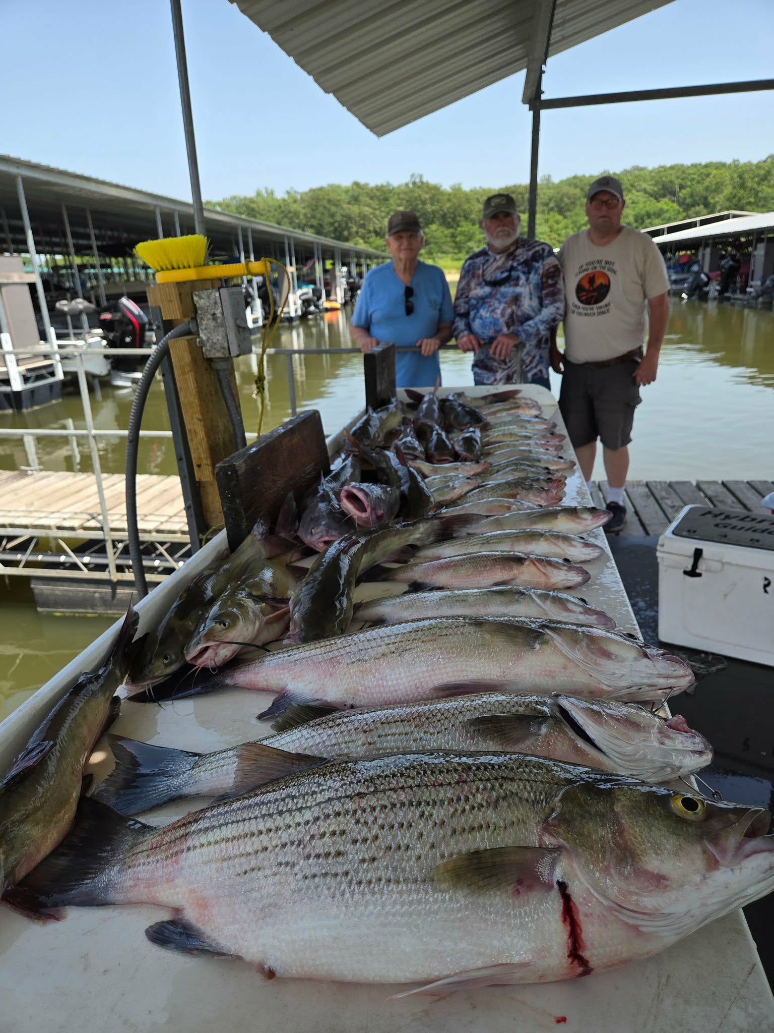 Tough Bite on Hybrids, but Good Mixed Bags Every Day