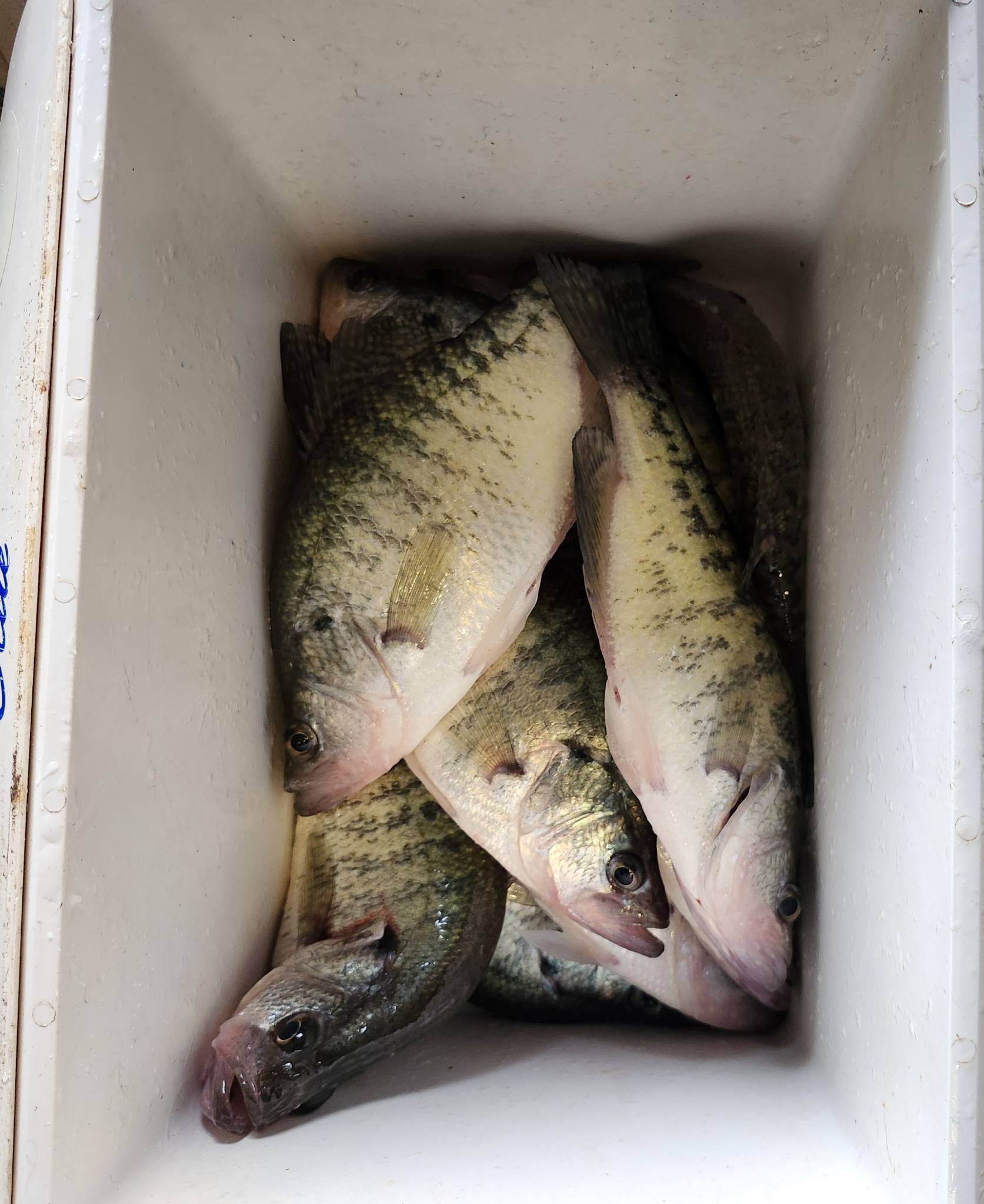 12/3/25 Jack Vanderpool finds some good quality within a mile of the dam